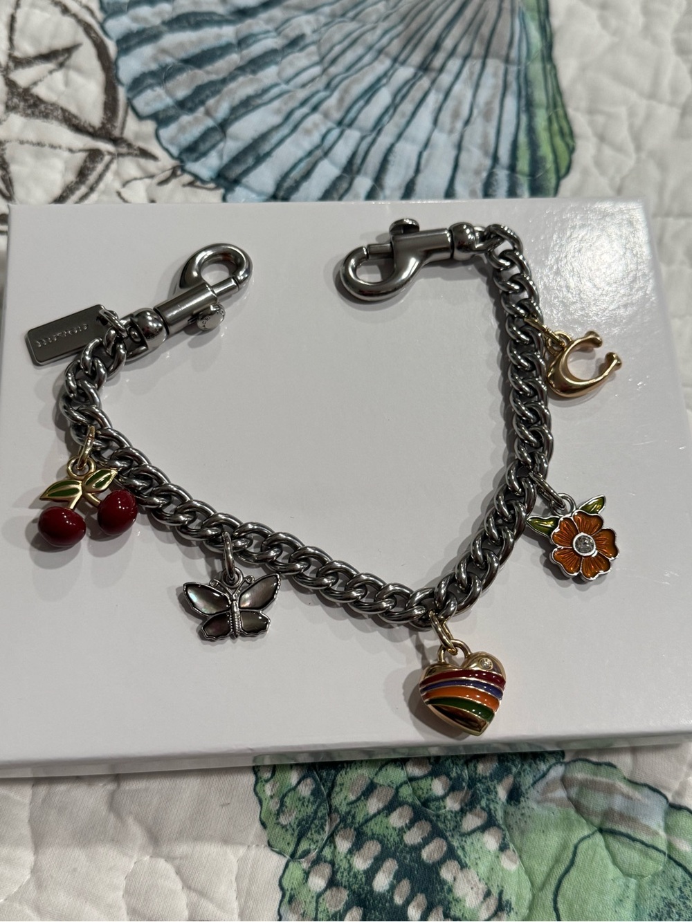 Coach bag chain